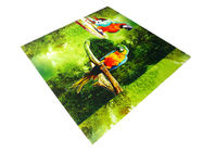 Parrot Pattern Green Plastic Commercial Ceiling Panels No Cracking