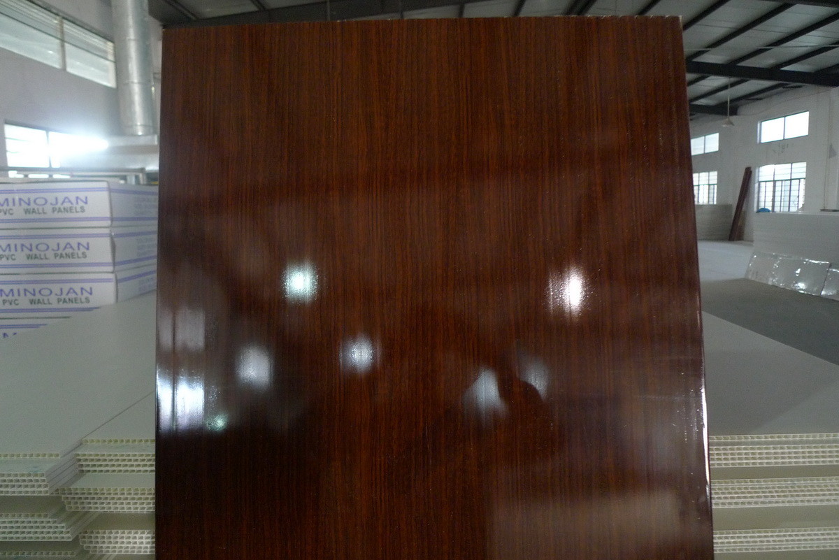 Mouldproof Plastic Interior Replacement Door Panel No Aspiration With Wooden Grain